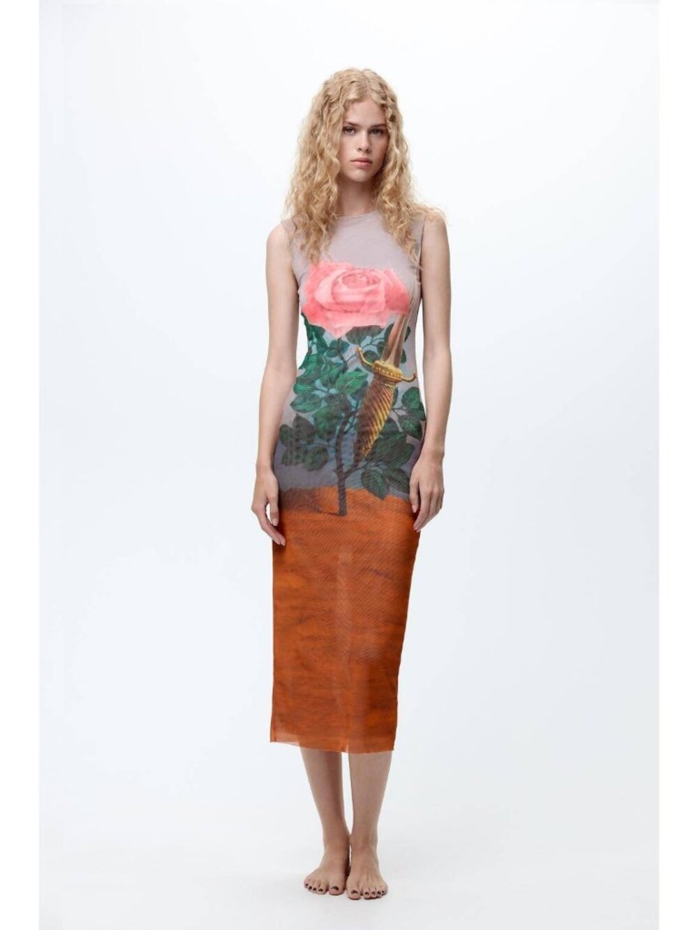 Zara Womens Midi Dress S Rene Magritte Multicolor Floral Painting 4644/830 NWT